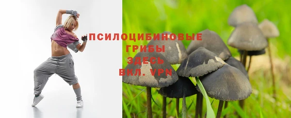 прущие крисы Пестово