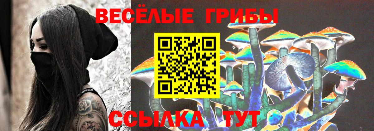 Галлюциногенные грибы Psilocybe Гуково